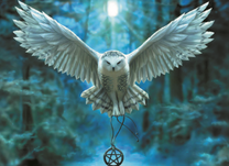 Белый филин несёт амулет