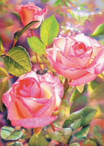 Нежные розы в лучах солнца