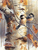 Милые синички на осенней березе