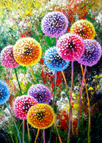 Разноцветные одуванчики на лугу