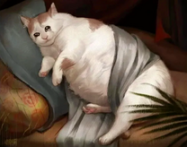 Толстый белый котик