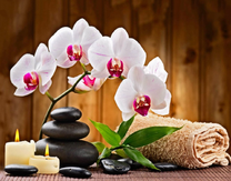 Орхидея и все для массажа
