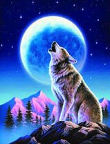 Серый волк воет в полнолуние