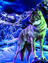 Серый волк на фоне скалистых гор