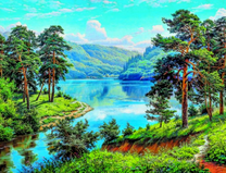 Прекрасный пейзаж с рекой и сосновыми лесами