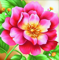 Крупный розовый цветок