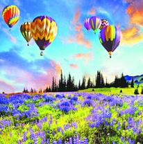 Воздушные шары над лавандовым полем