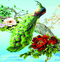 Павлин зеленого цвета