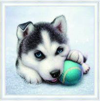 Щенок лайки с мячиком