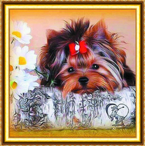 Пушистый песик рядом с ромашками