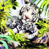 Черно-белые тигры