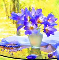 Букетик крокусов на столе