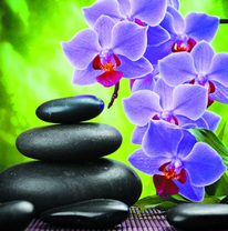 Черные камни и орхидеи