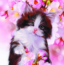 Пушистый котёнок среди весеннего цветения