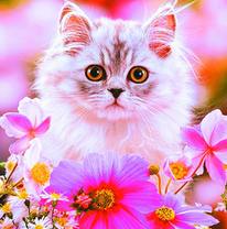 Пушистый котёнок среди ярких цветов