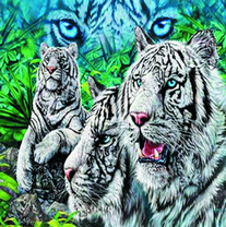 Злые черно-белые тигры