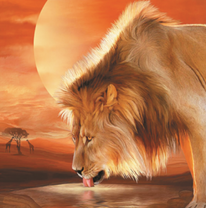 Лев на фоне пустыни