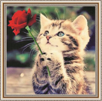 котёнок с красной розой