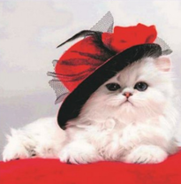 Кошачья дама в шляпке