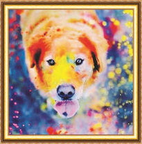 Портрет лабрадора на разноцветном фоне