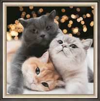 Три цветные кошечки