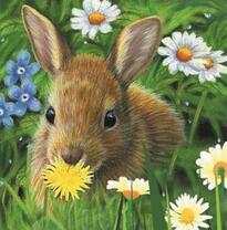 Пушистый кролик среди цветов