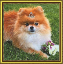 Рыженькая принцесса