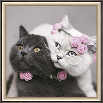 Кот и кошечка с украшениями