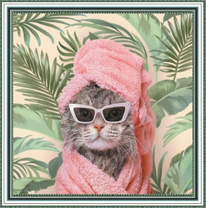 Кошечка в очках и розовых полотенцах