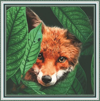 Лиса среди больших листьев