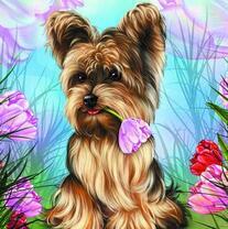 Милый йорк среди тюльпанов