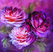 Пышные яркие розы