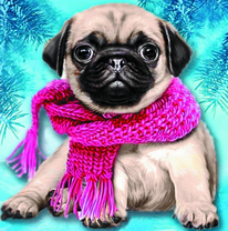 Мопсик в розовом шарфе