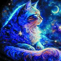 Ночной котик и луна