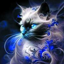 Сиамская кошечка с голубыми глазами