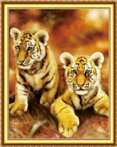 Пара милых тигрят в сухой траве