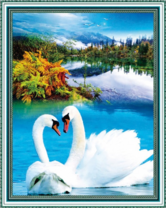 Белые лебеди на красочном озере в горном лесу