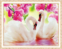 Красивые белые лебеди под розовыми цветами