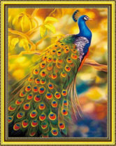 Павлин в золотистых лучах солнца