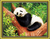 Маленький панда спит в развилке дерева