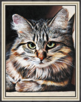 Милая пушистая кошечка