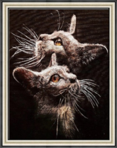 Два серых котёнка с длинными усами