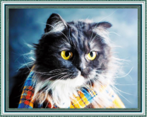 Пушистый кот в шарфе