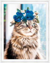 Кошка с милым веночком