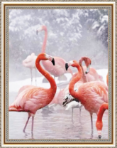 Фламинго в зимой в тёплом озере