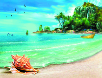 Большая раковина на песчаном пляже