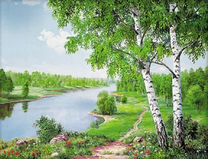 Березовые рощи вдоль реки