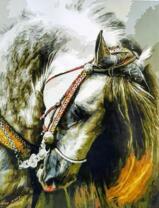 Лошадь в яблоках