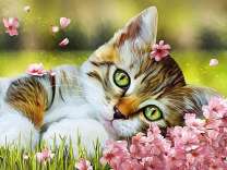 Котенок лежит на цветах