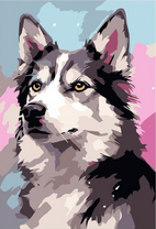 Хаски на цветном фоне